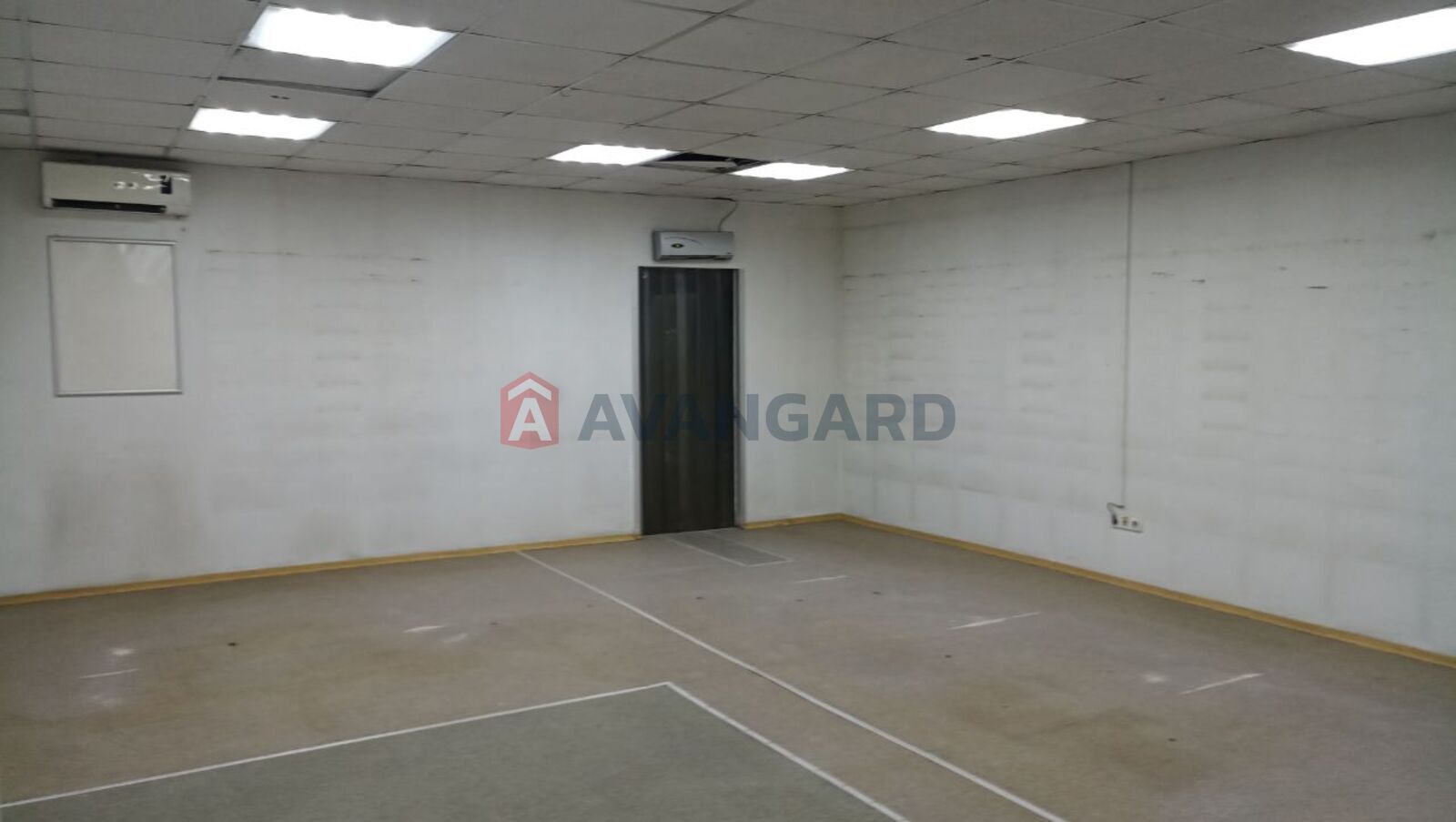 ��������� ���������, 8135 ��.�. ���� 17