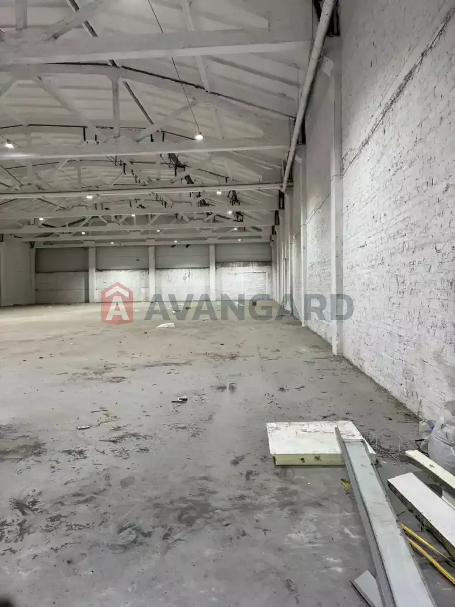 ��������� ���������, 1010 ��.�. ���� 3