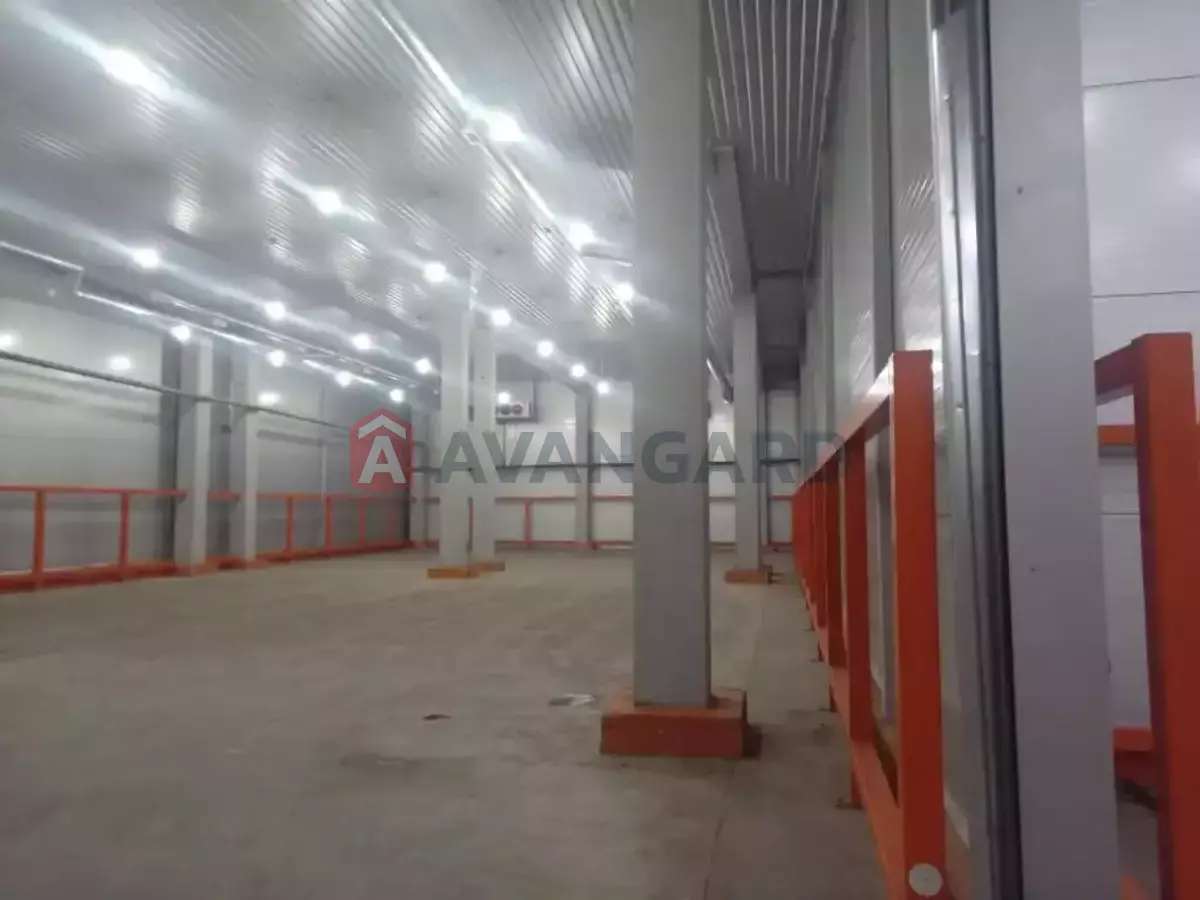 ��������� ���������, 2000 ��.�. ���� 8