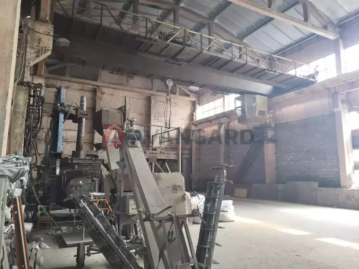 ���������������� ���������, 1900 ��.�. ���� 11