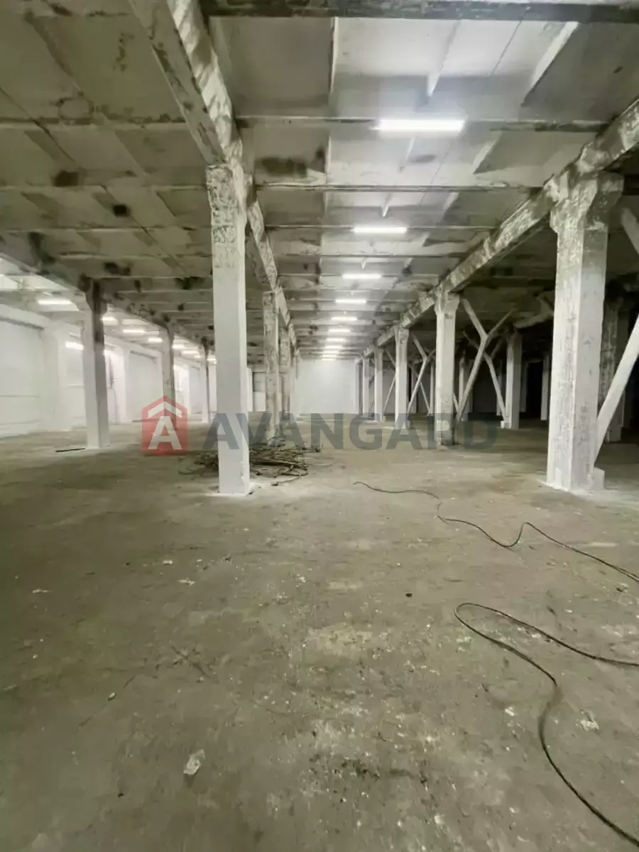 ��������� ���������, 4250 ��.�. ���� 6