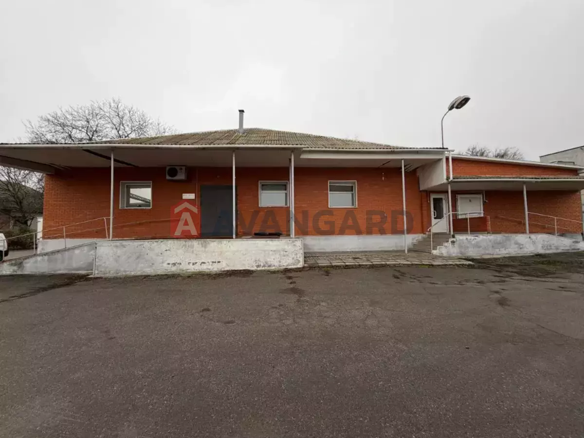 ���������������� ���������, 580 ��.�. ���� 19