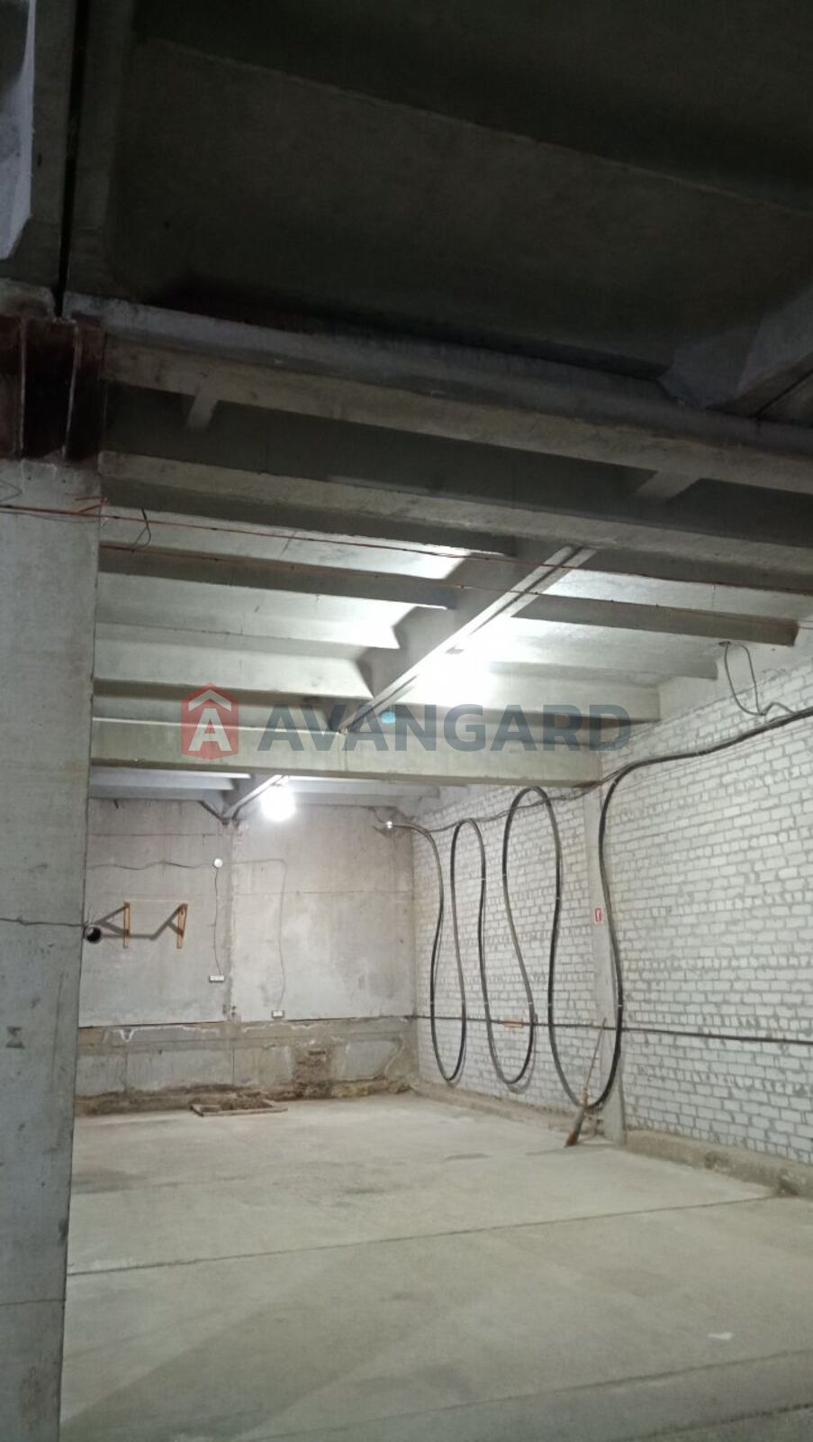 ��������� ���������, 8135 ��.�. ���� 5