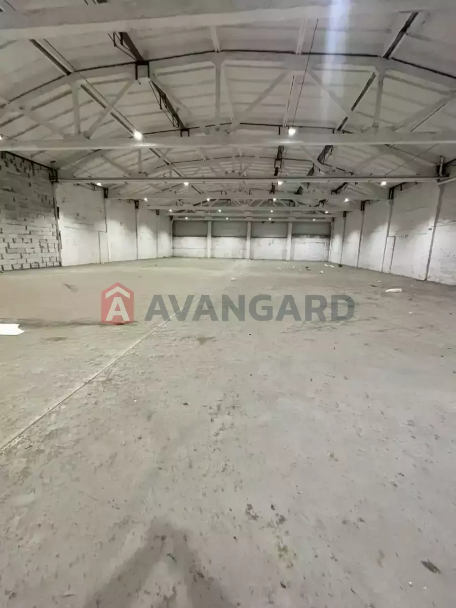 ��������� ���������, 1120 ��.�. ���� 2