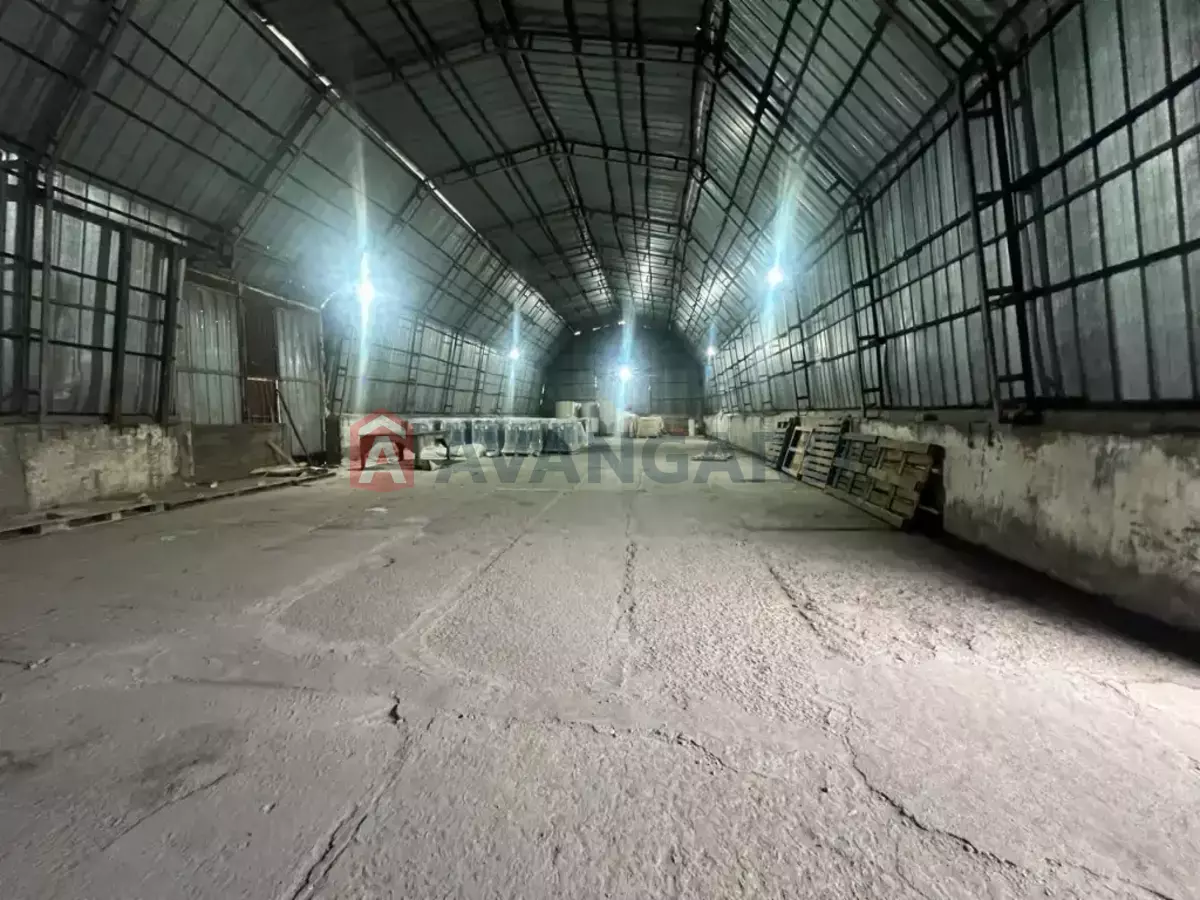 ��������� ���������, 406 ��.�. ���� 1