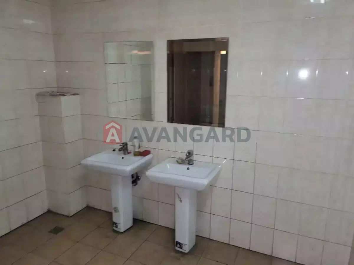 ���������������� ���������, 1900 ��.�. ���� 9