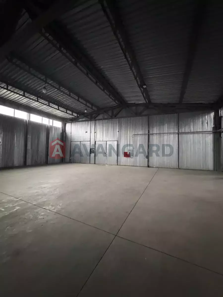 ��������� ���������, 1000 ��.�. ���� 4