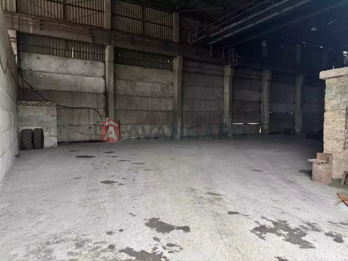 ��������� ���������, 800 ��.�. ���� 2