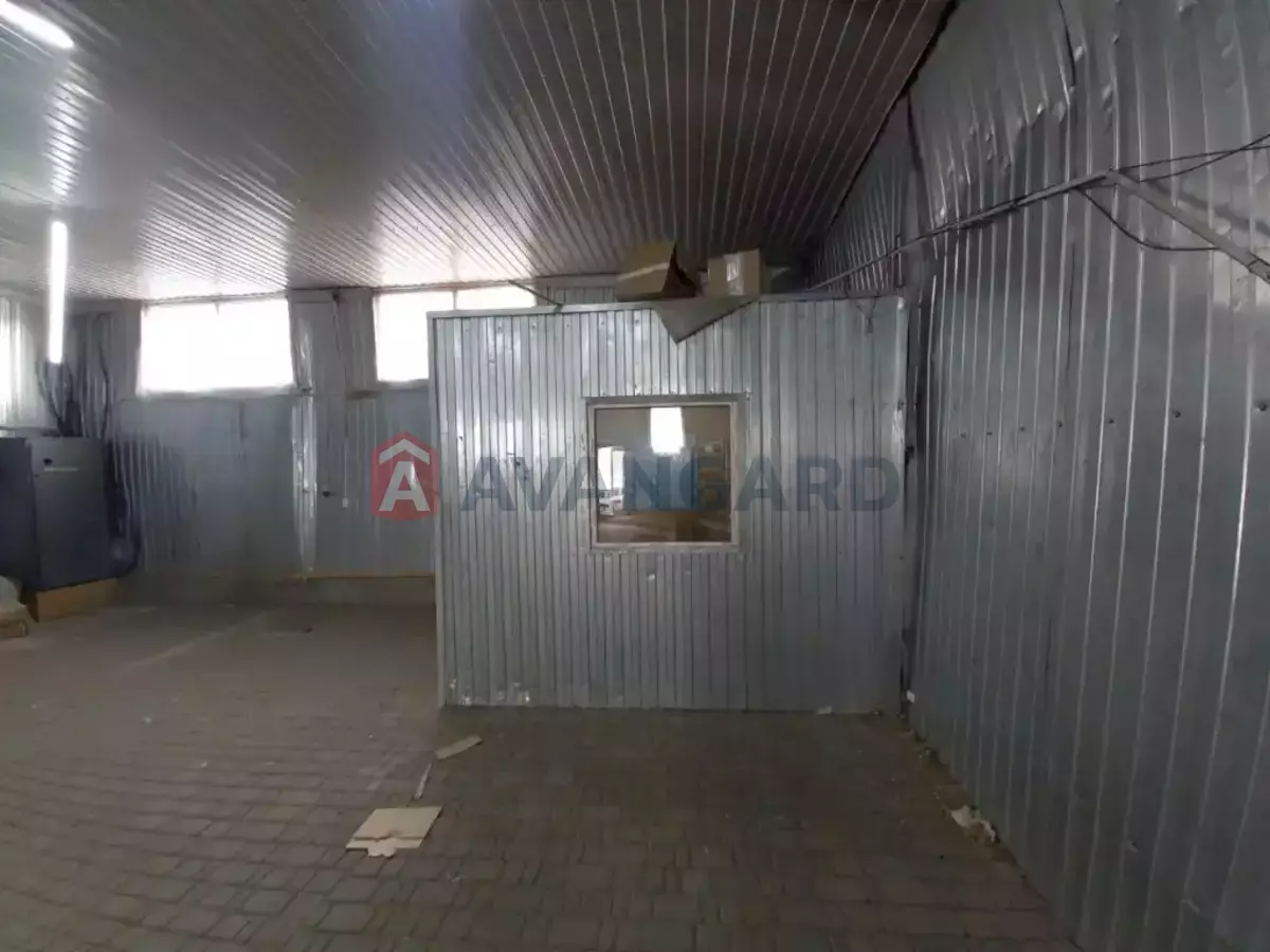 ��������� ���������, 250 ��.�. ���� 8