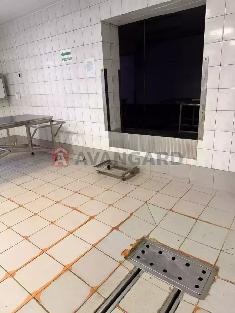 ���������������� ���������, 580 ��.�. ���� 6