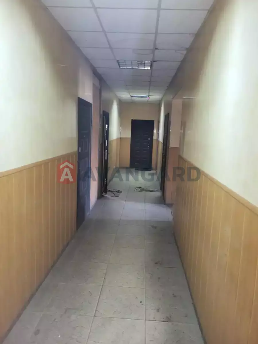 ���������������� ���������, 1900 ��.�. ���� 8