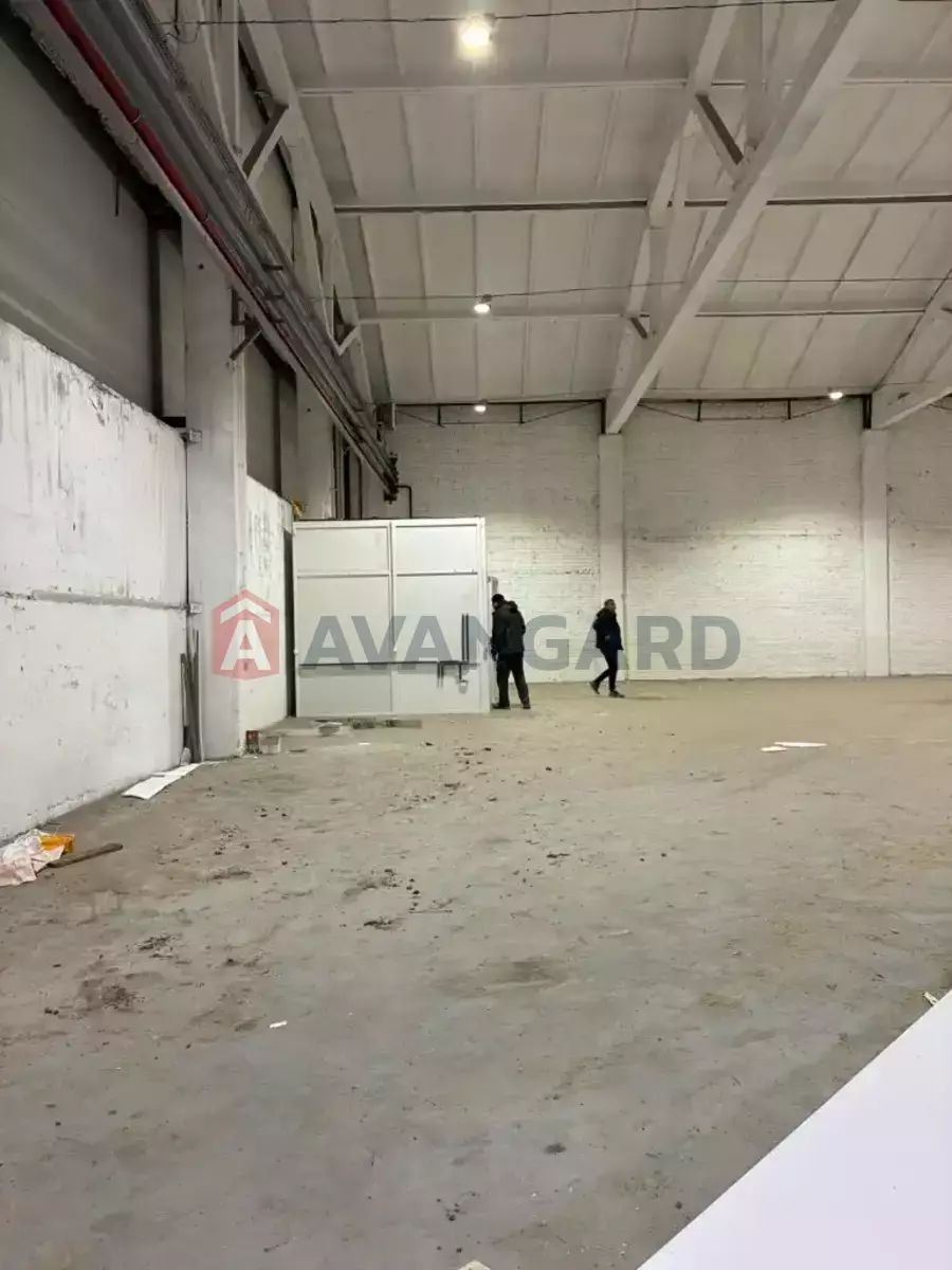 ��������� ���������, 1010 ��.�. ���� 12