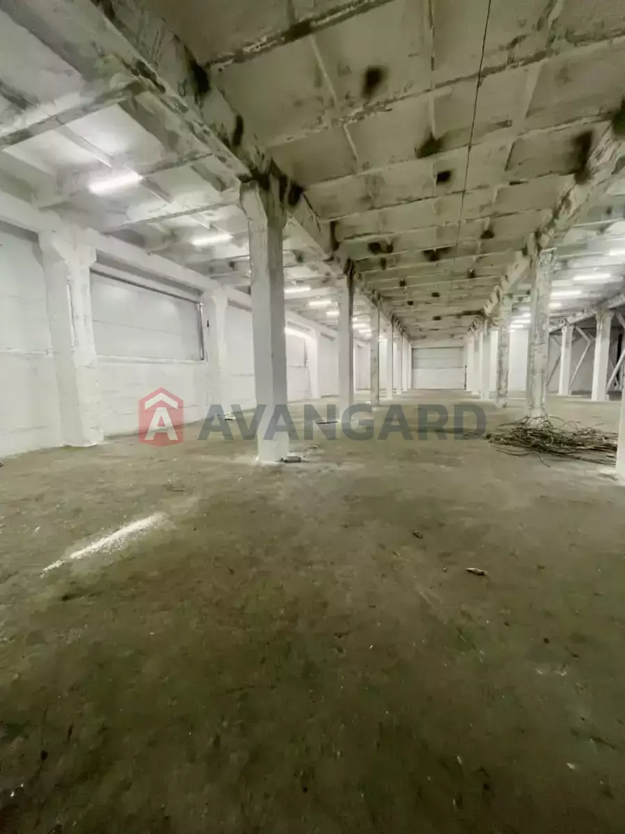 ��������� ���������, 4250 ��.�. ���� 4