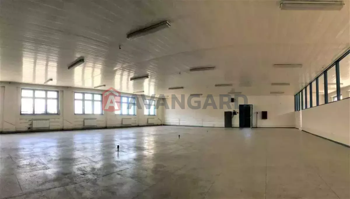 ��������� ���������, 430 ��.�. ���� 8