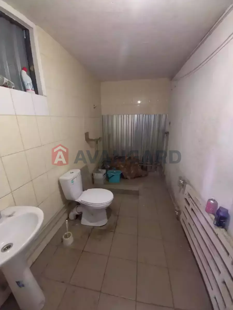 ��������� ���������, 250 ��.�. ���� 6