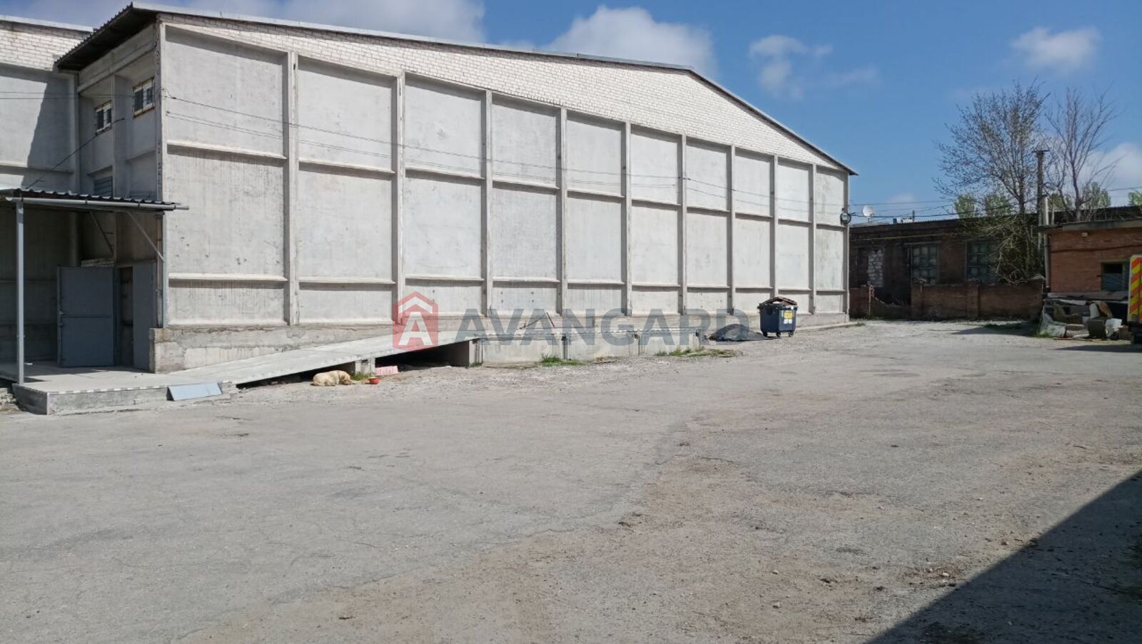 ��������� ���������, 8135 ��.�. ���� 7