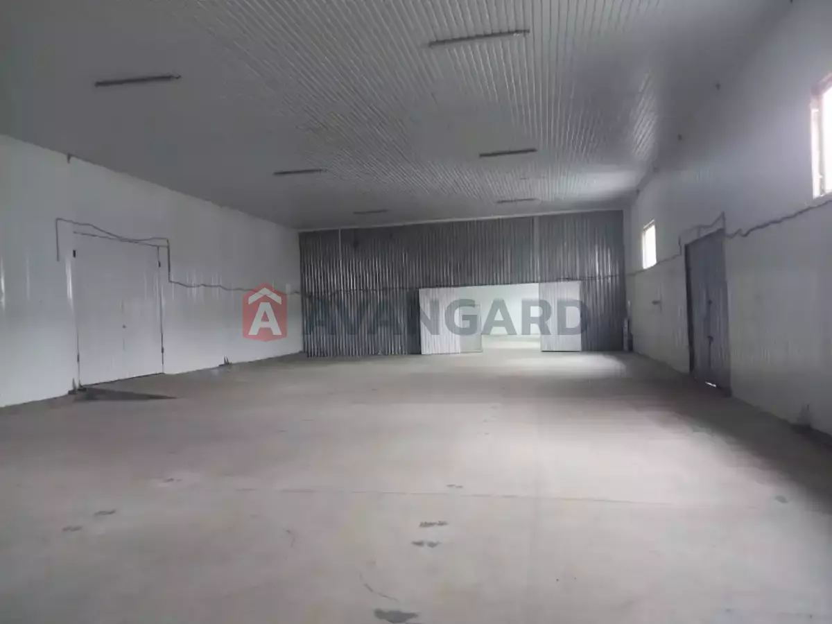 ��������� ���������, 300 ��.�. ���� 1