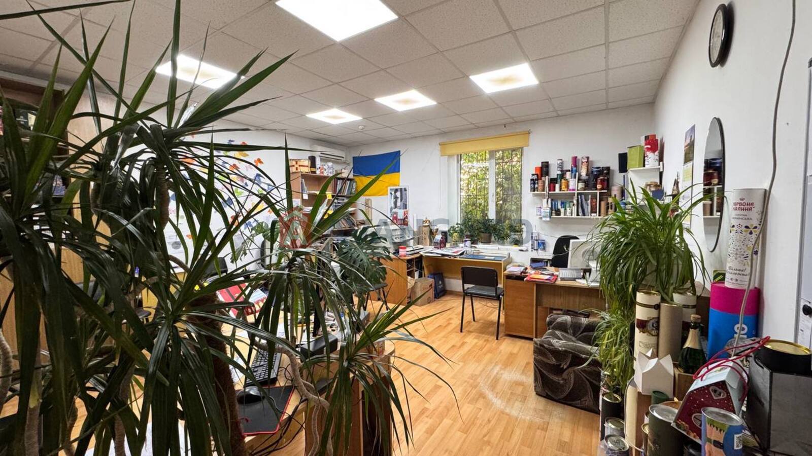 ��������� ���������, ���������������� ���������, 450 ��.�. ���� 11