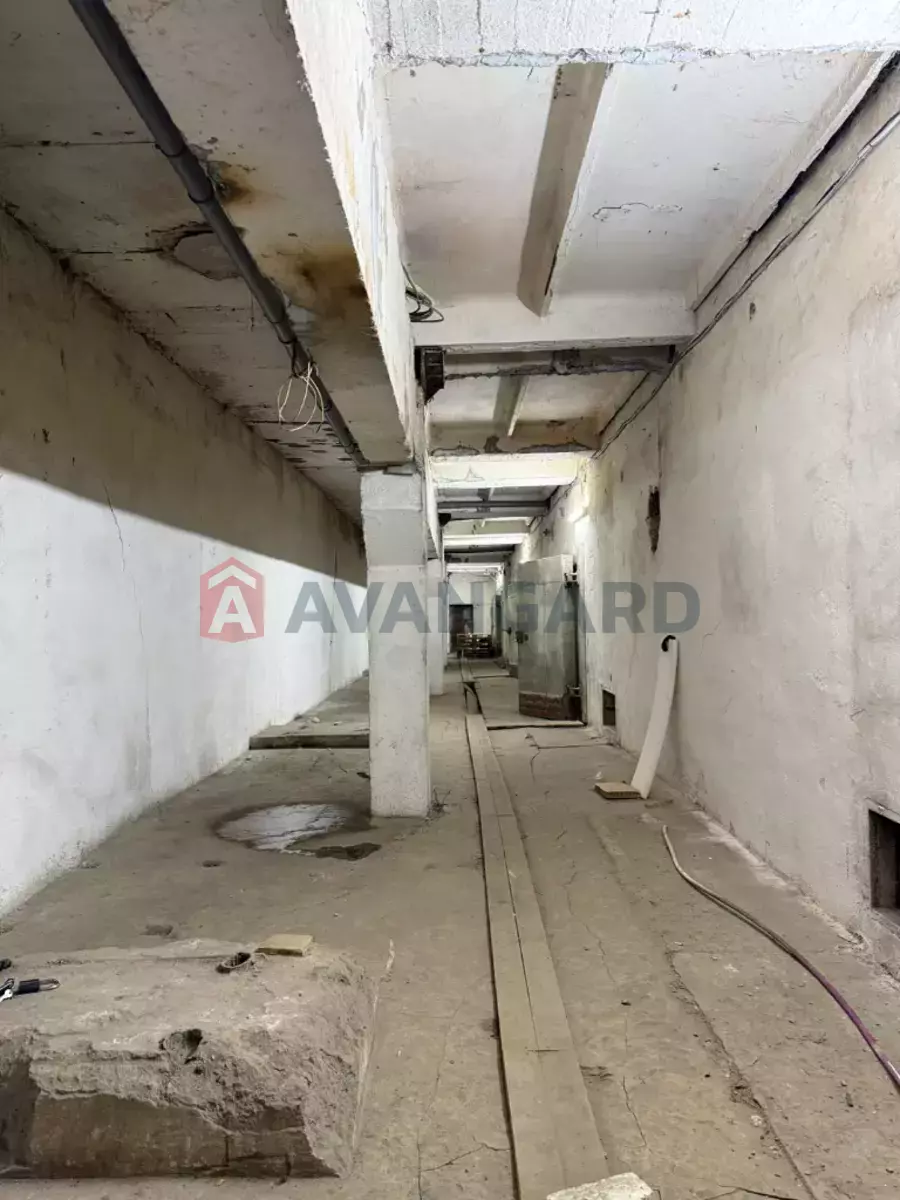 ��������� ���������, 500 ��.�. ���� 11