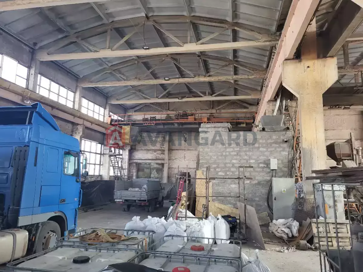 ���������������� ���������, 1900 ��.�. ���� 10