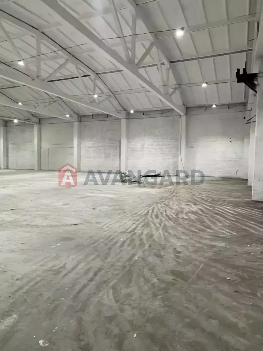 ��������� ���������, 1150 ��.�. ���� 15