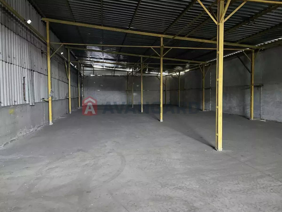 ��������� ���������, 860 ��.�. ���� 3