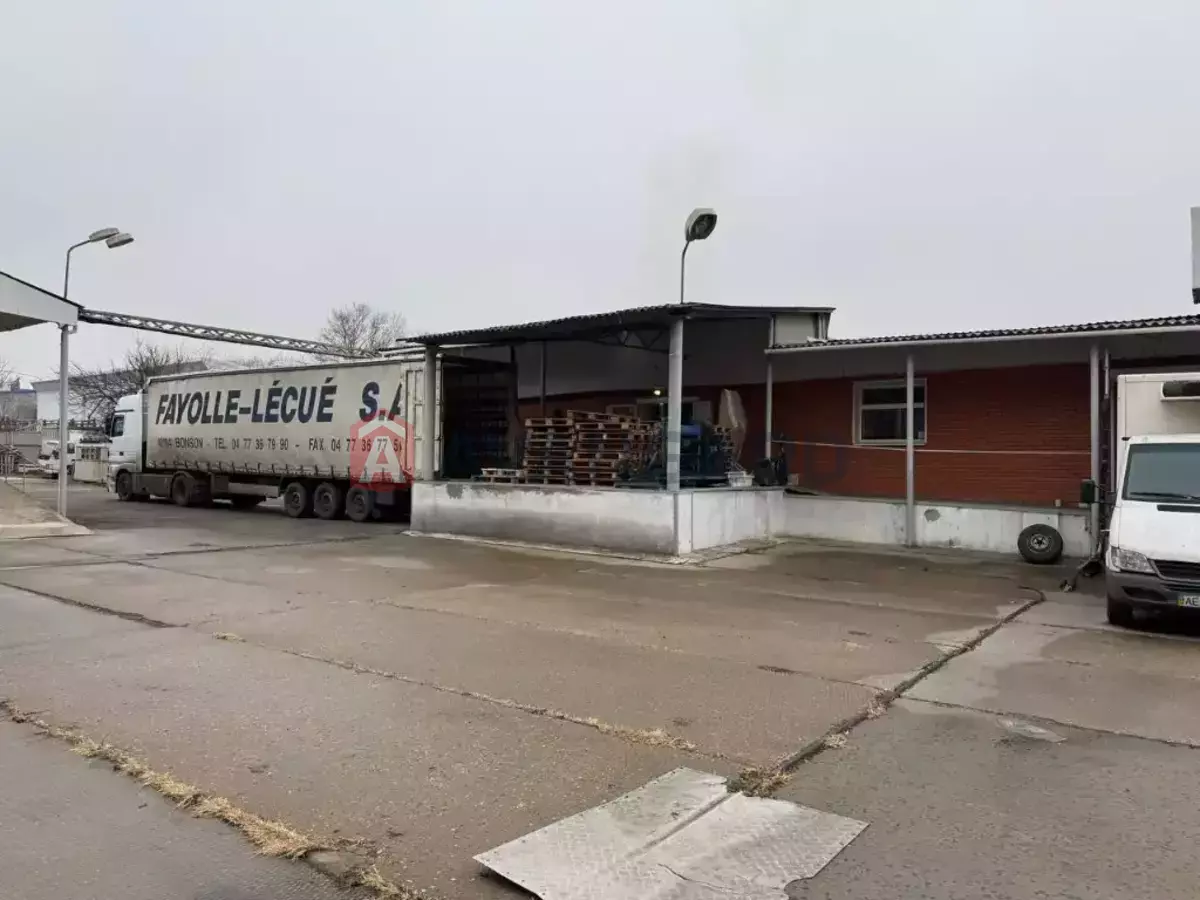 ��������� ���������, 40 ��.�. ���� 8