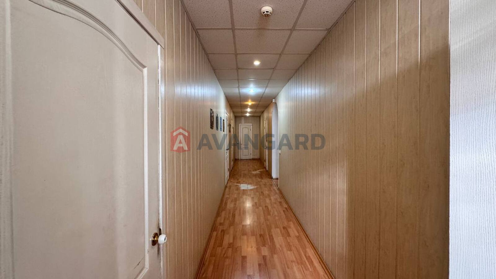 ��������� ���������, ���������������� ���������, 450 ��.�. ���� 11