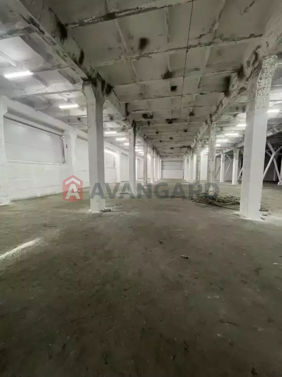 ��������� ���������, 4600 ��.�. ���� 1