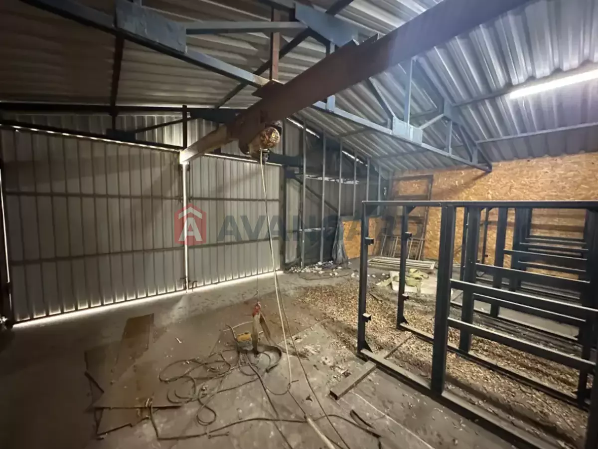 ��������� ���������, 324 ��.�. ���� 7