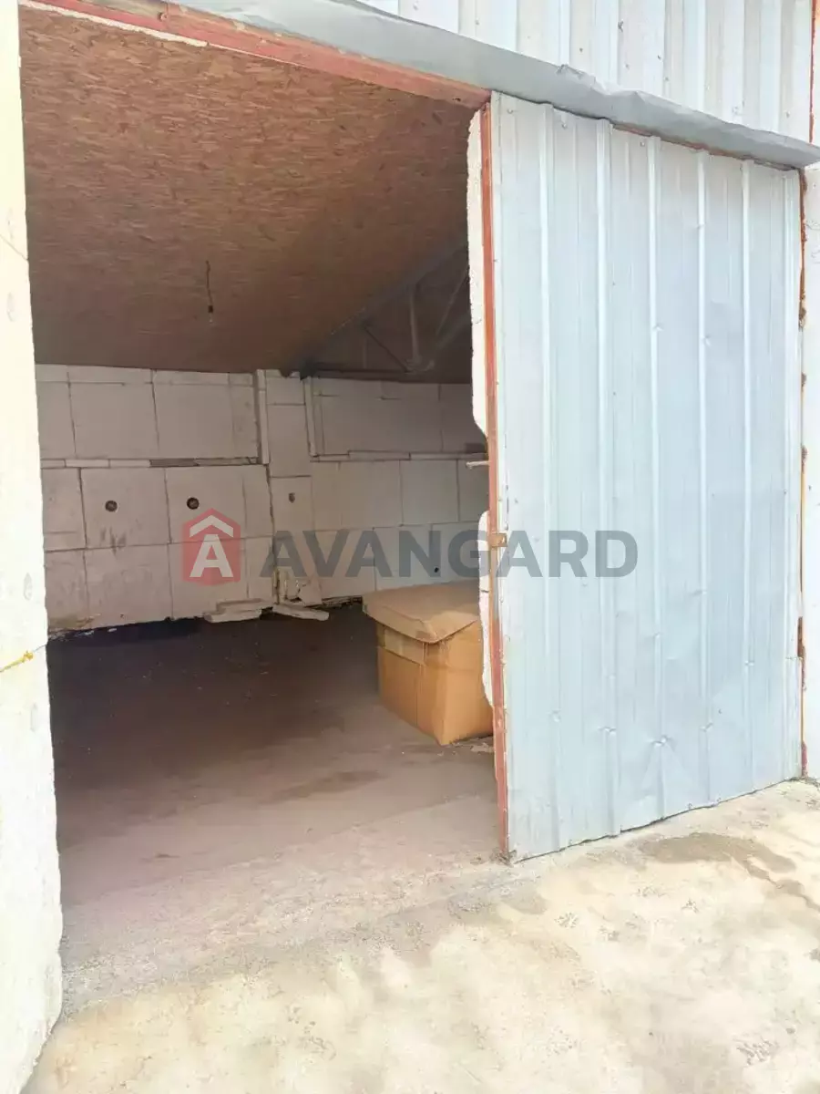 ��������� ���������, 800 ��.�. ���� 13