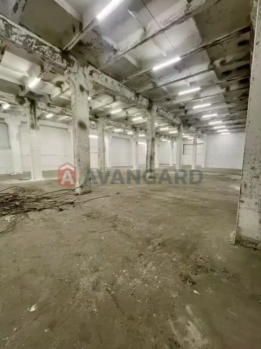 ��������� ���������, 4250 ��.�. ���� 7