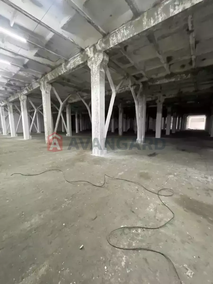 ��������� ���������, 4600 ��.�. ���� 16