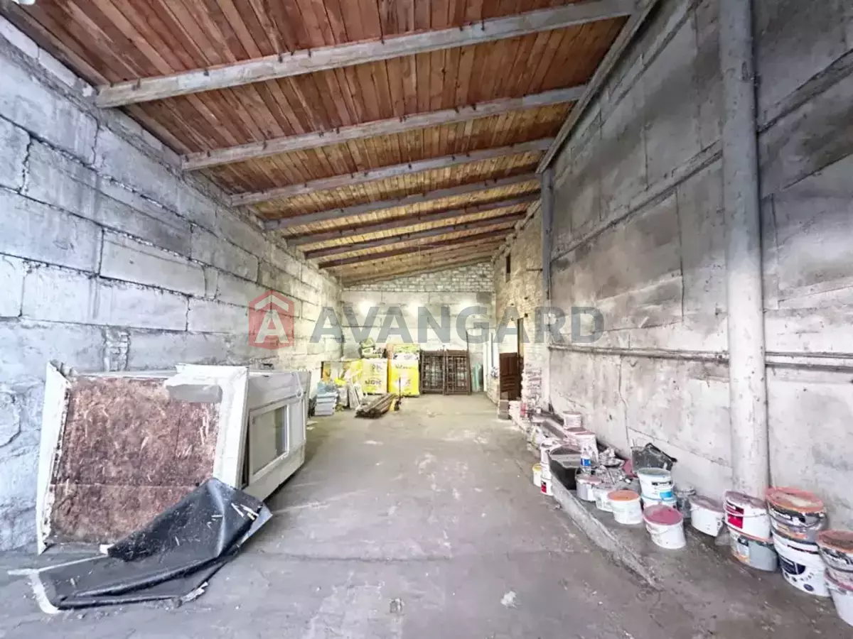 ���������������� ���������, 170 ��.�. ���� 1