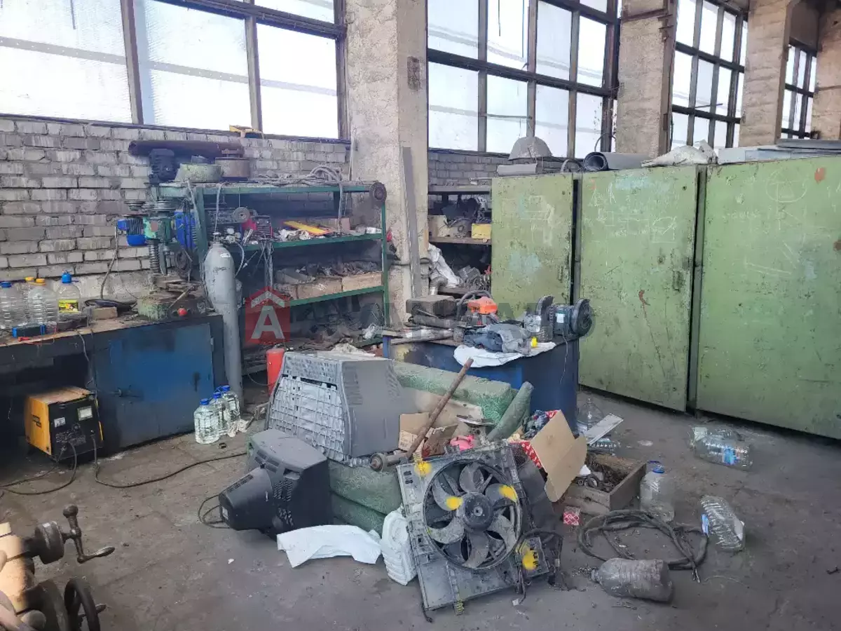 ���������������� ���������, 1900 ��.�. ���� 13