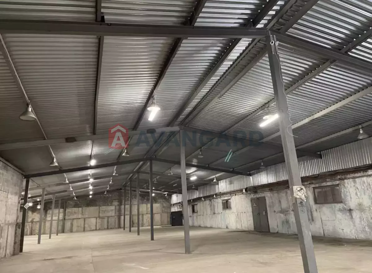 ��������� ���������, 1000 ��.�. ���� 3