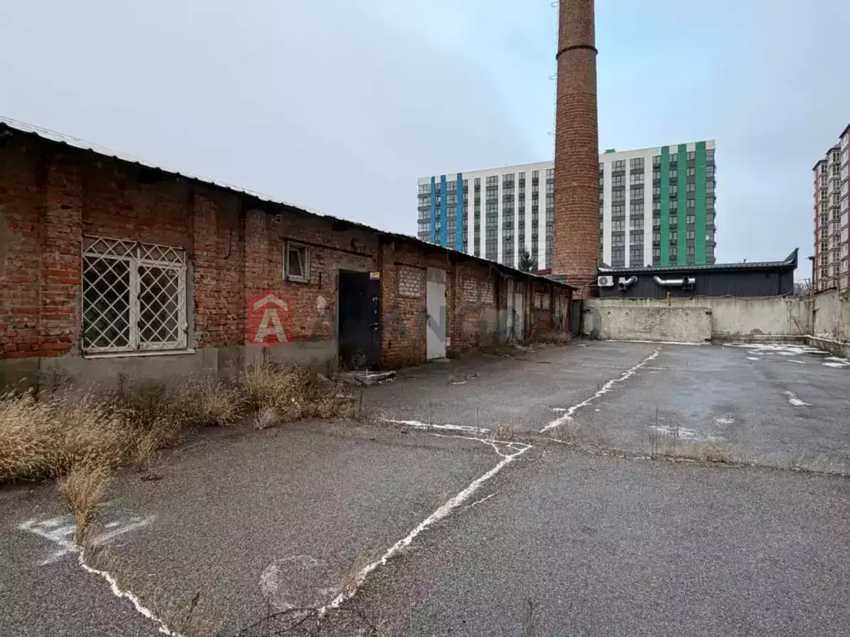 ��������� ���������, 800 ��.�. ���� 8