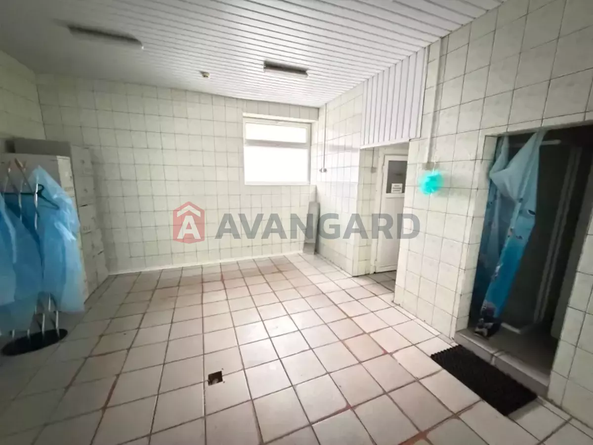 ���������������� ���������, 580 ��.�. ���� 2