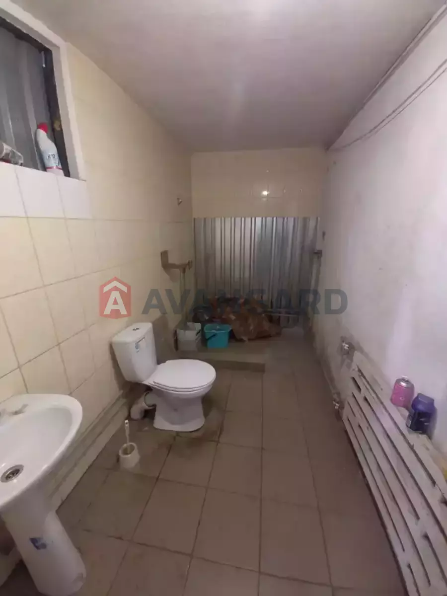 ��������� ���������, 250 ��.�. ���� 7