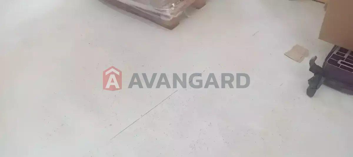 ��������� ���������, 160 ��.�. ���� 6