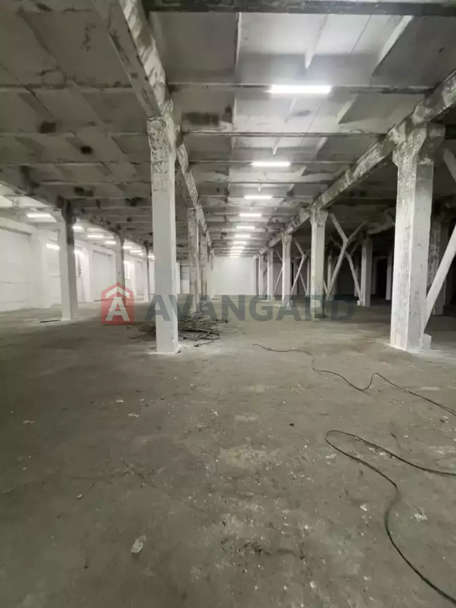 ��������� ���������, 4600 ��.�. ���� 24