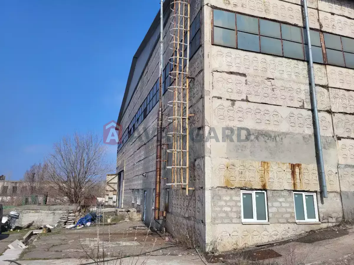 ���������������� ���������, 1900 ��.�. ���� 1