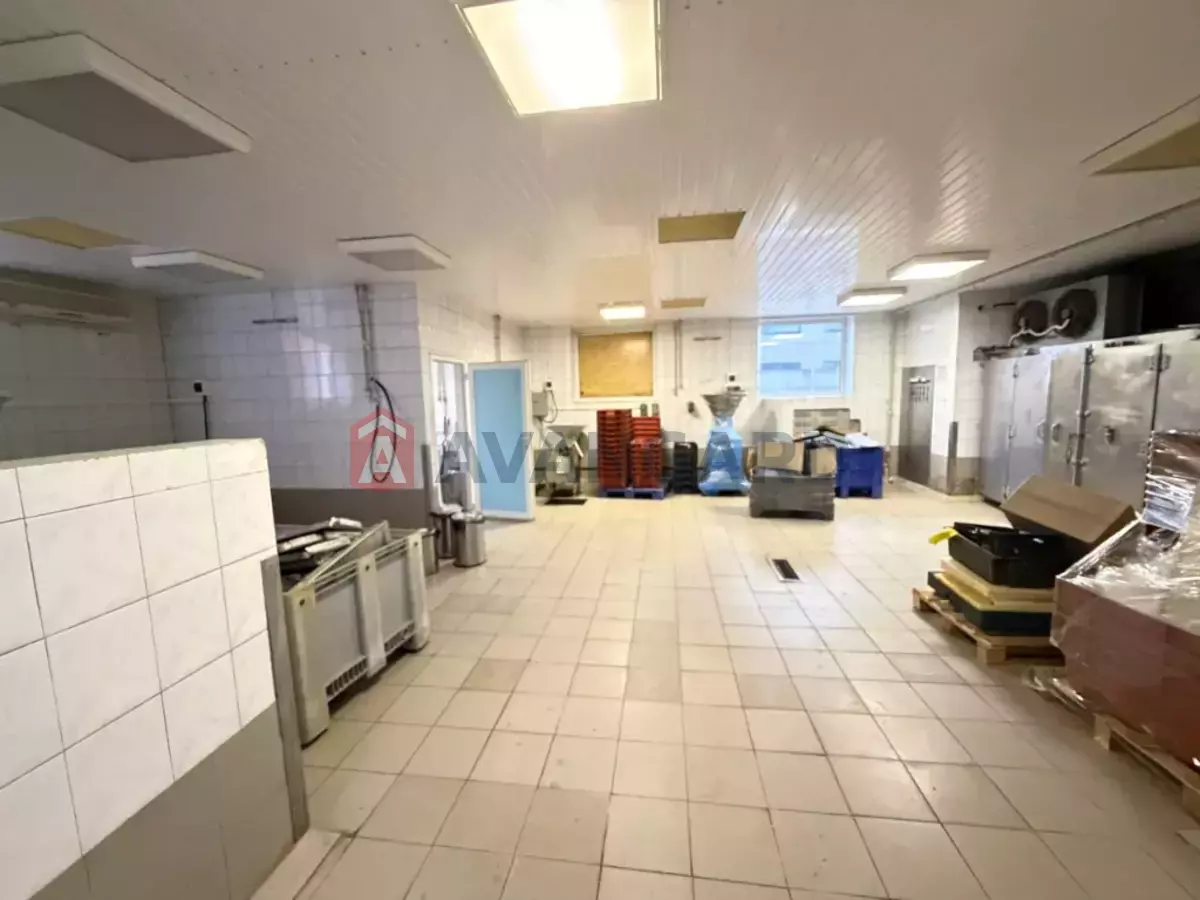 ���������������� ���������, 580 ��.�. ���� 4