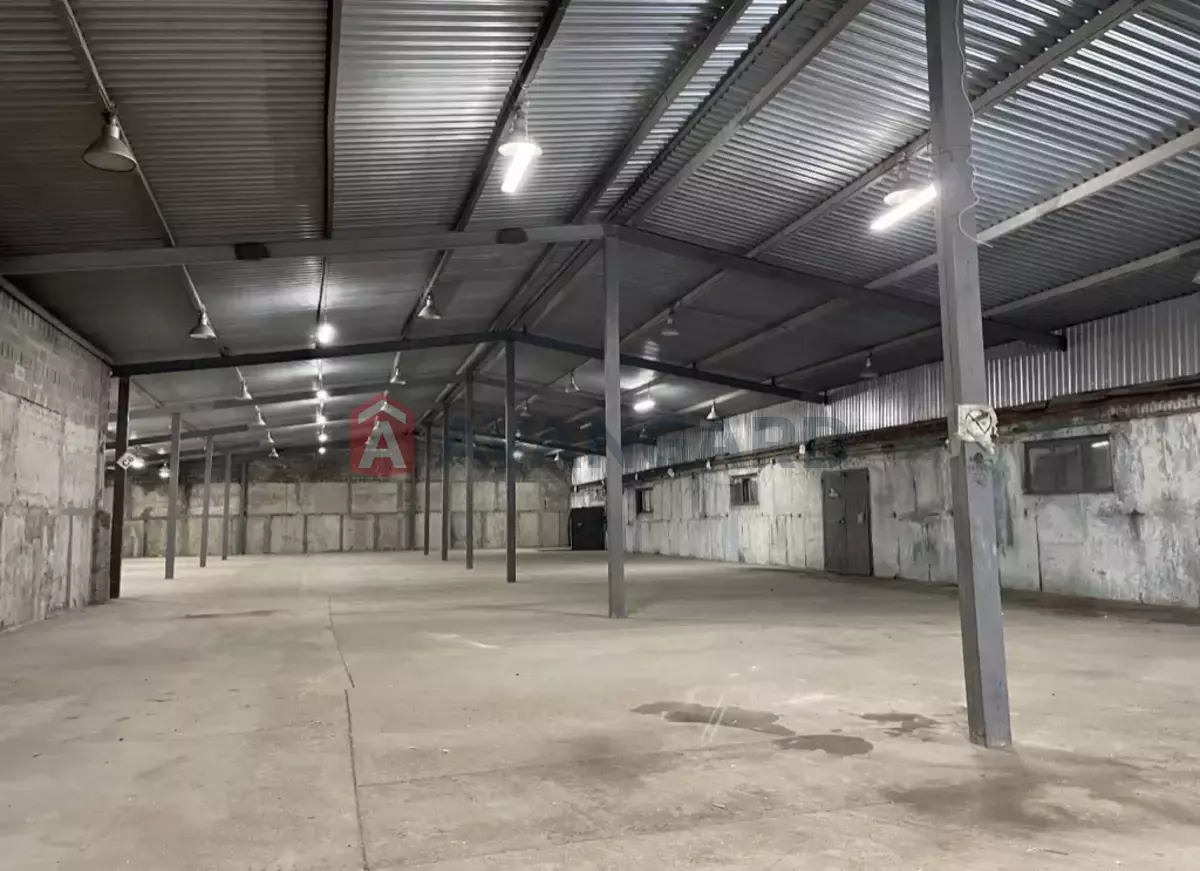 ��������� ���������, 1000 ��.�. ���� 1