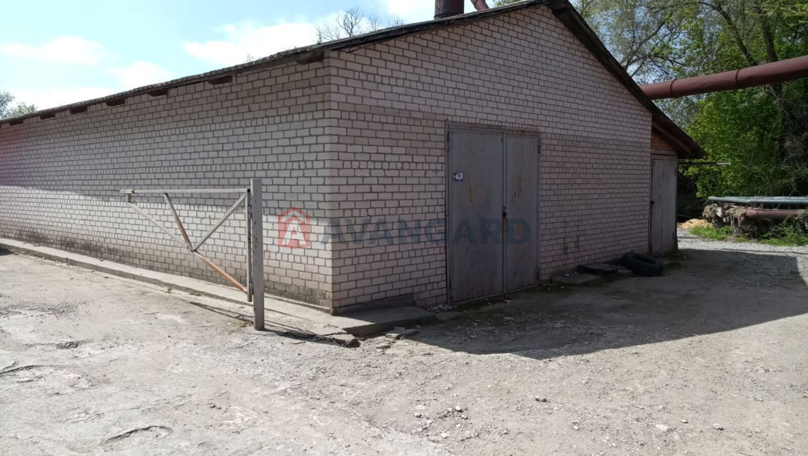 ��������� ���������, 8135 ��.�. ���� 19