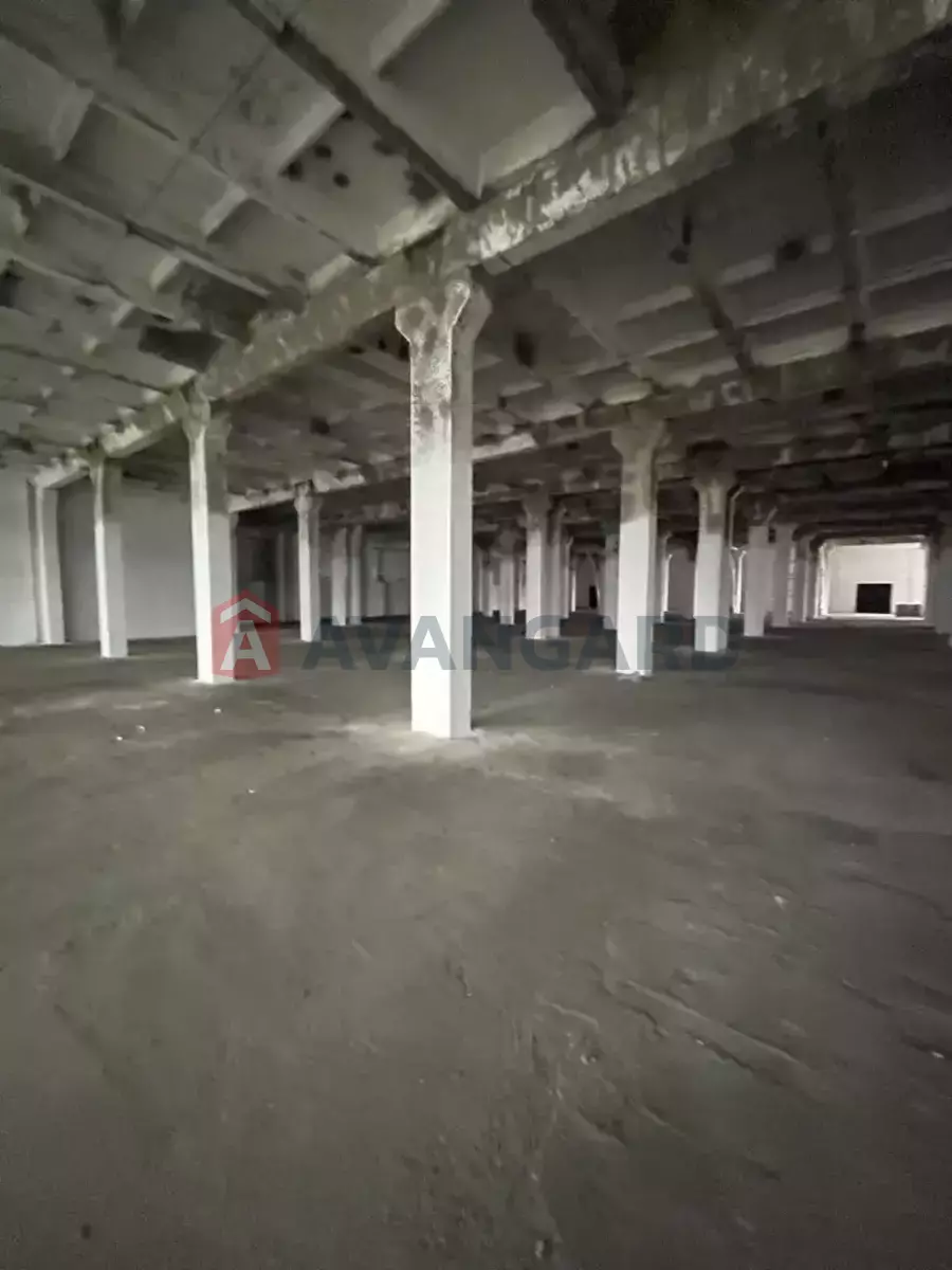 ��������� ���������, 4600 ��.�. ���� 22