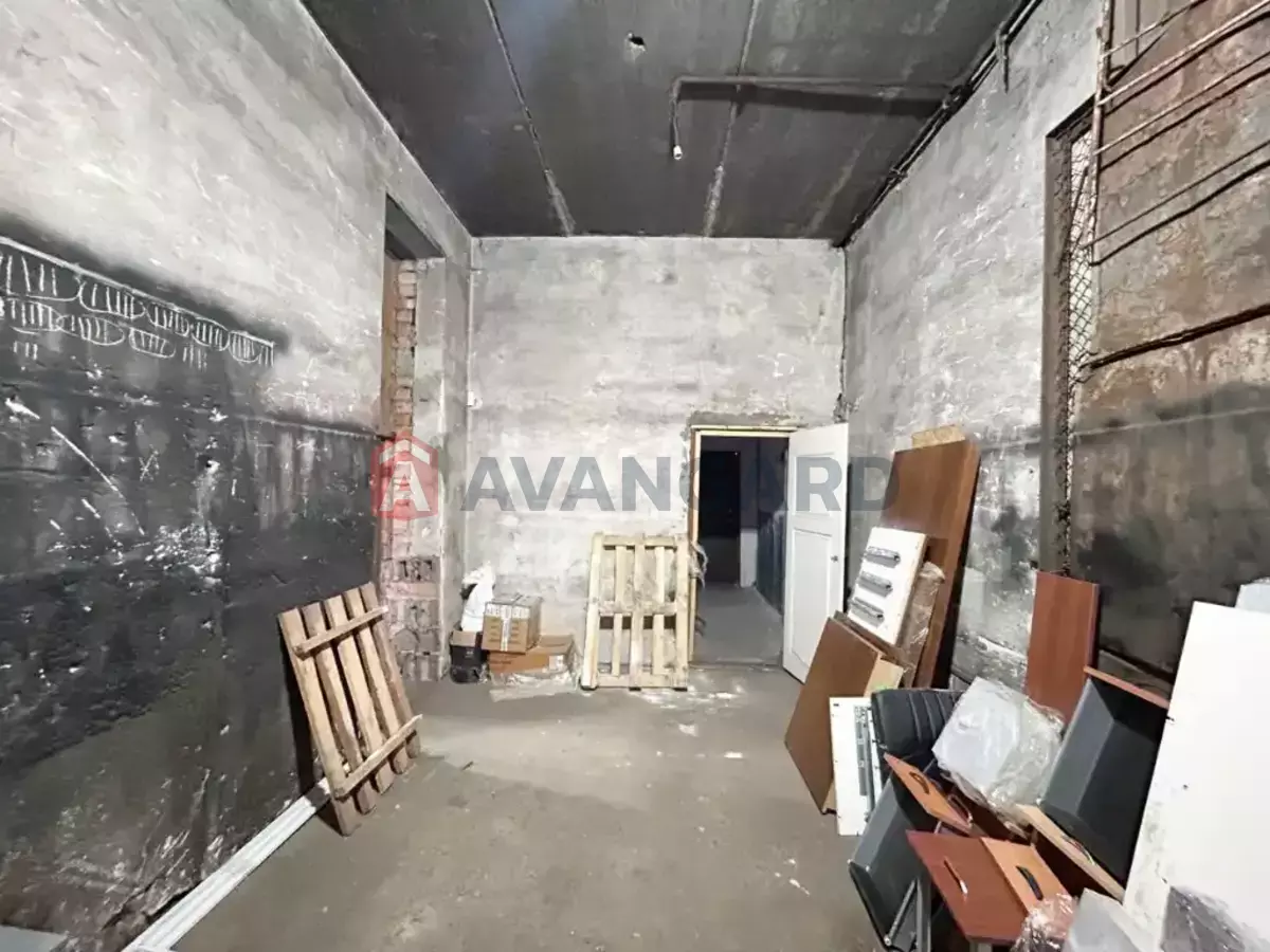 ���������������� ���������, 170 ��.�. ���� 8