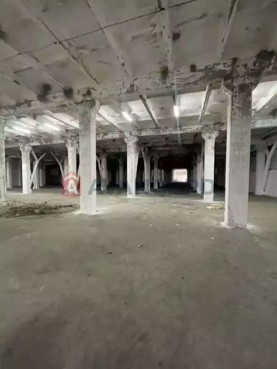 ��������� ���������, 4600 ��.�. ���� 12