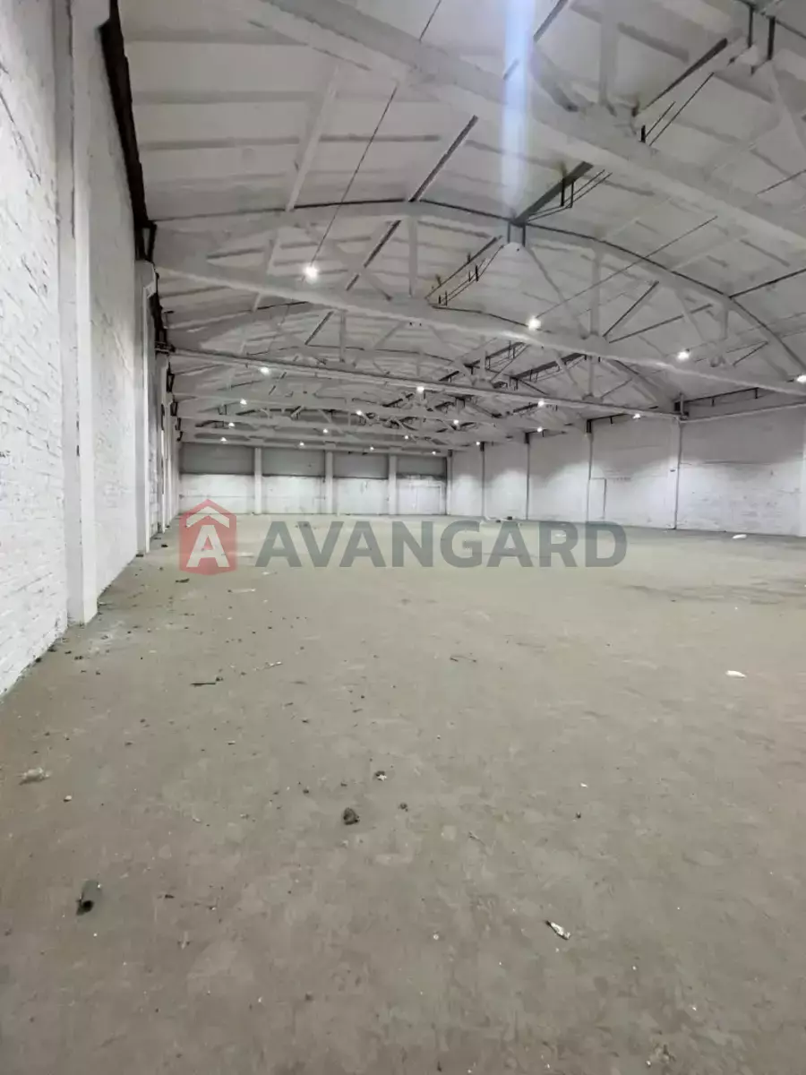 ��������� ���������, 1120 ��.�. ���� 12