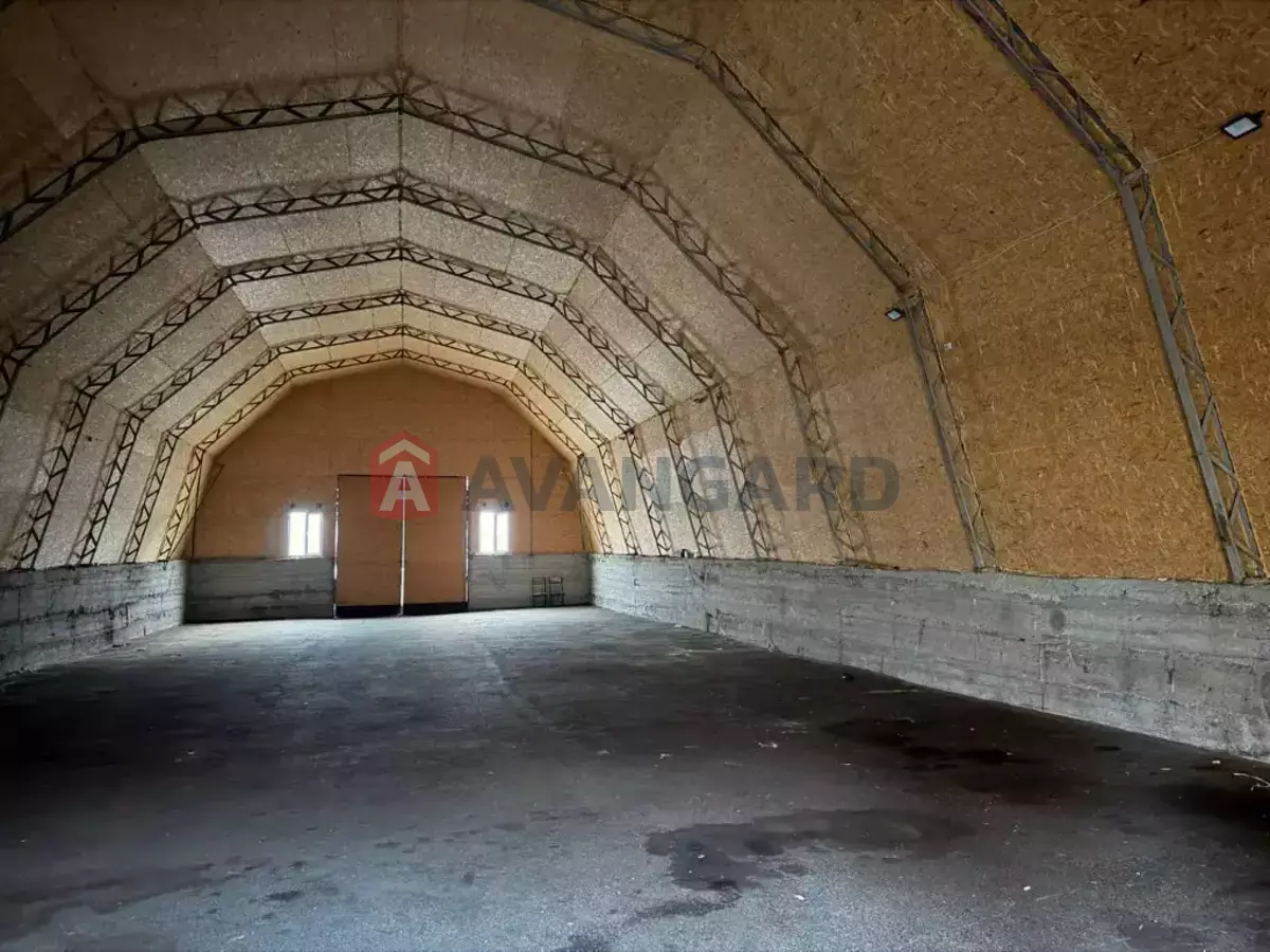 ��������� ���������, 800 ��.�. ���� 2